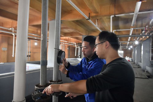 工厂化育苗 水产养殖业高质量发展的新引擎